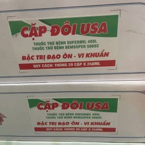 Cặp Đôi USA - Ảnh 3