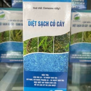 Cặp Đôi Cỏ Cây - Ảnh 7